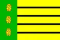 Flag of Díly