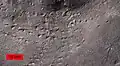 Petalichnus, arthropod walking traces. Devonian of northeastern Ohio.