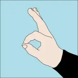 Are you OK? or I am OK! A circle is made with thumb and forefinger, extending the remaining fingers if possible.[7]