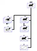 Cavalry division in 1934
