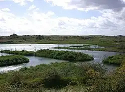 Dogsthorpe Star Pit