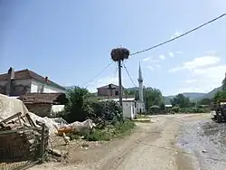 Dolenci