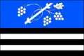 Flag of Dolní Bojanovice