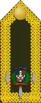 Colonel