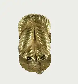Photograph of a clasp