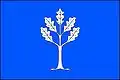 Flag of Doubrava