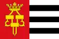 Flag of Drachten