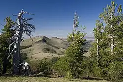 View from Drake Peak lookout