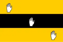 Regimental flag