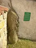 Zkamenělec Stone