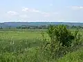 Former Skorenovački, now Pločički Rit