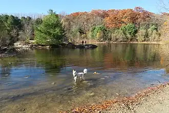 Pond
