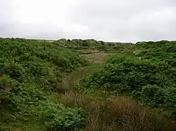 Soil mounds piled near the course of a small stream