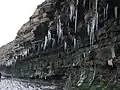 East Quantoxhead cliffs