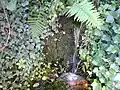 One of the springs around Eaton