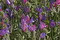 Lavender and pink floral arrangement