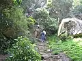 Going up the caves