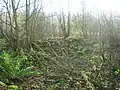 The ruins of Corsehill Lodge. Maggie's Well located nearby was the source of drinking water for this lodge.