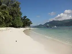 Beach