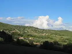 View from Elmo