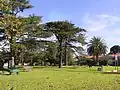 Elsternwick Hopetoun Gardens in Glen Huntly Road (cannons made in England 1866)