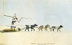 Image 27Sled dog types, sketched in 1833 (from Domestication of the dog)