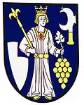 Coat of arms of Hajná Nová Ves