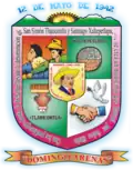 Official seal of Domingo Arenas Municipality