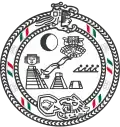 Official logo of Solidaridad Municipality