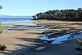 Daniel's Bay, Lunawanna where the tree line runs to the beach (2017)