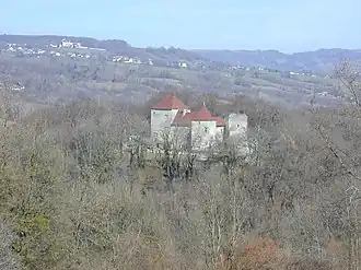 The château of Sallenôves