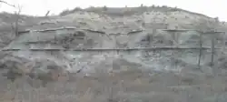 The lower 25 feet (7.6 m) of the Fairport Chalk member in southern Ellis County, Kansas.