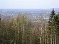 On the northwestern flank of the Wurzelbrink a clearing enables a view of the Lübbecke Land.