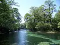 Springs outlet