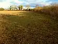 Grassland,north area