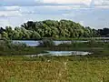 Habitat,Fen Drayton, England