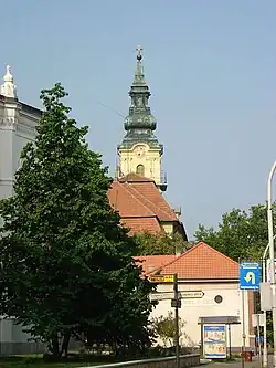 The Catholic church