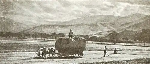 Farmers making hey