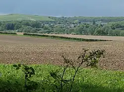 a view from afar.