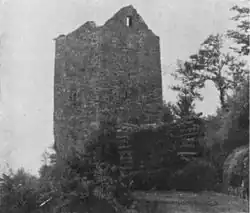 Watchtower in the comune of Beura-Cardezza.