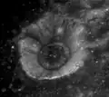 Oblique view of Firmicus C from Apollo 17