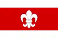 Flag of Čechtice