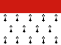 Flag of Agdenes Municipality