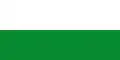 Flag of Agustín Codazzi