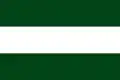 Flag of Arbeláez