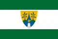 Flag of Bodmér