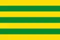 Flag of Bornos New City