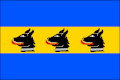 Flag of Branov