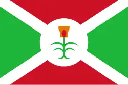 flag white saltire cross on green and red background with plant in centre white rondel