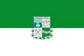 Flag of Casabianca, Tolima